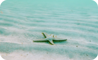 Cum să alegi cel mai potrivit iaht pentru o vacanță de neuitat